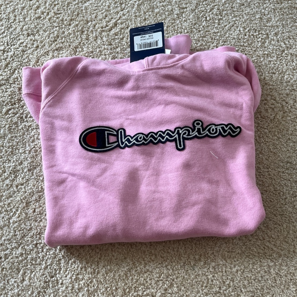 NWT champion hoodie